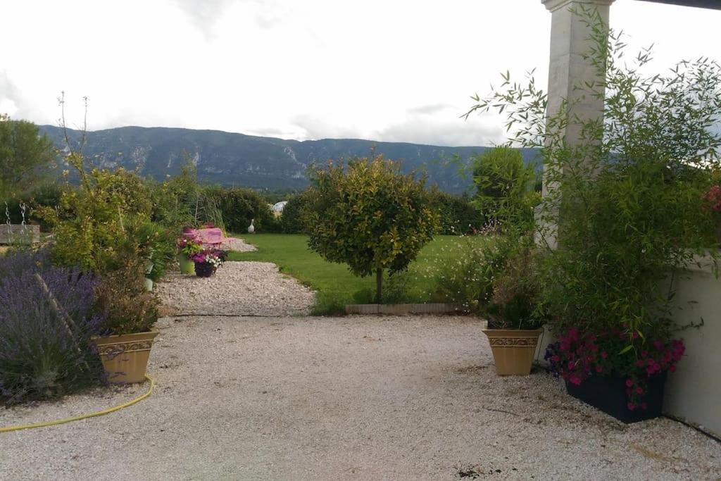 Le Petit Luberon Coquelicot