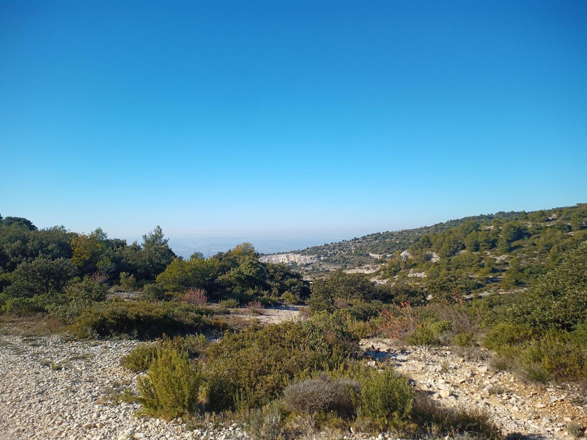 Le Petit Luberon Coquelicot Appartement Coustellet