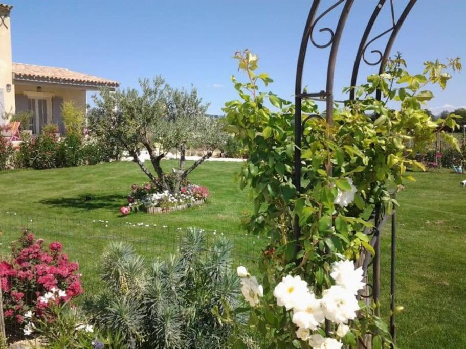 Appartement Le Petit Luberon Coquelicot