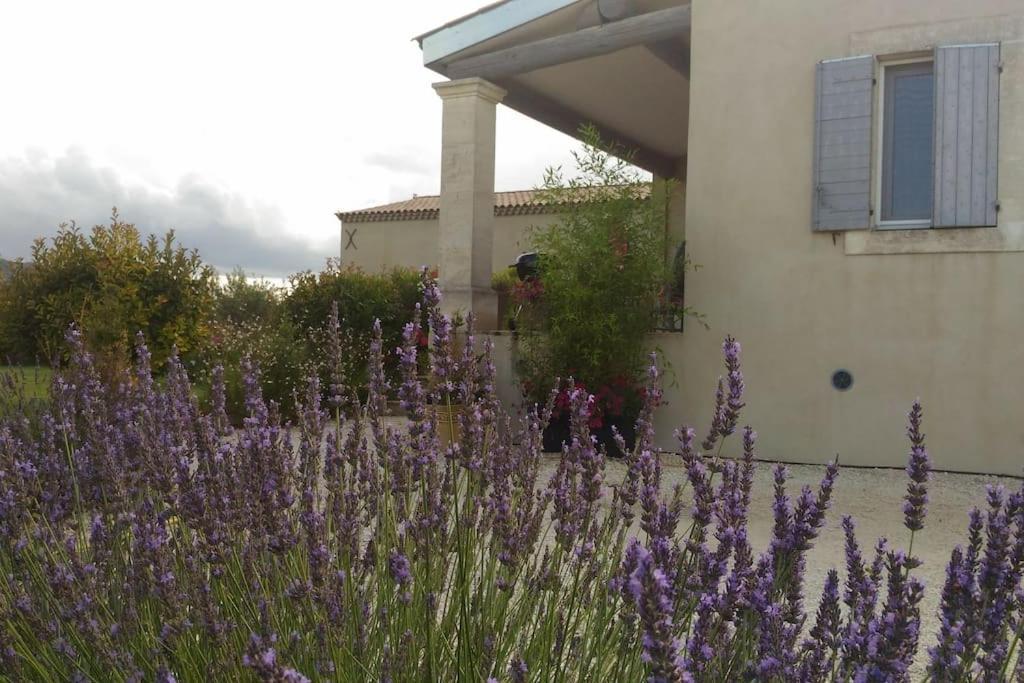 Appartement Le Petit Luberon Coquelicot
