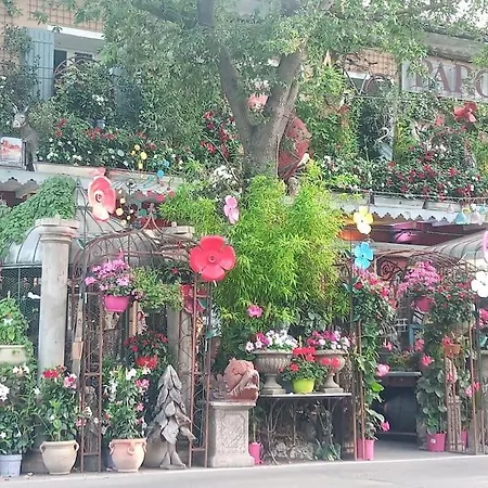 Gite Le Petit Luberon Coquelicot Coustellet Extérieur photo