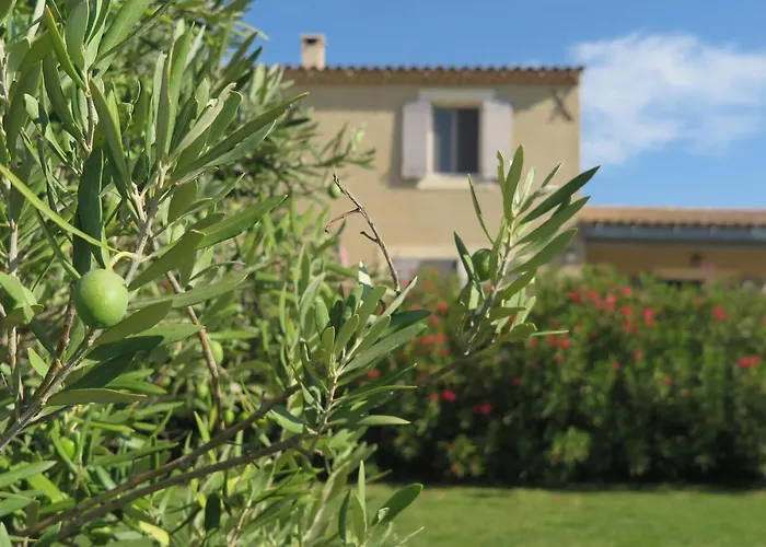 Gite Le Petit Luberon Coquelicot