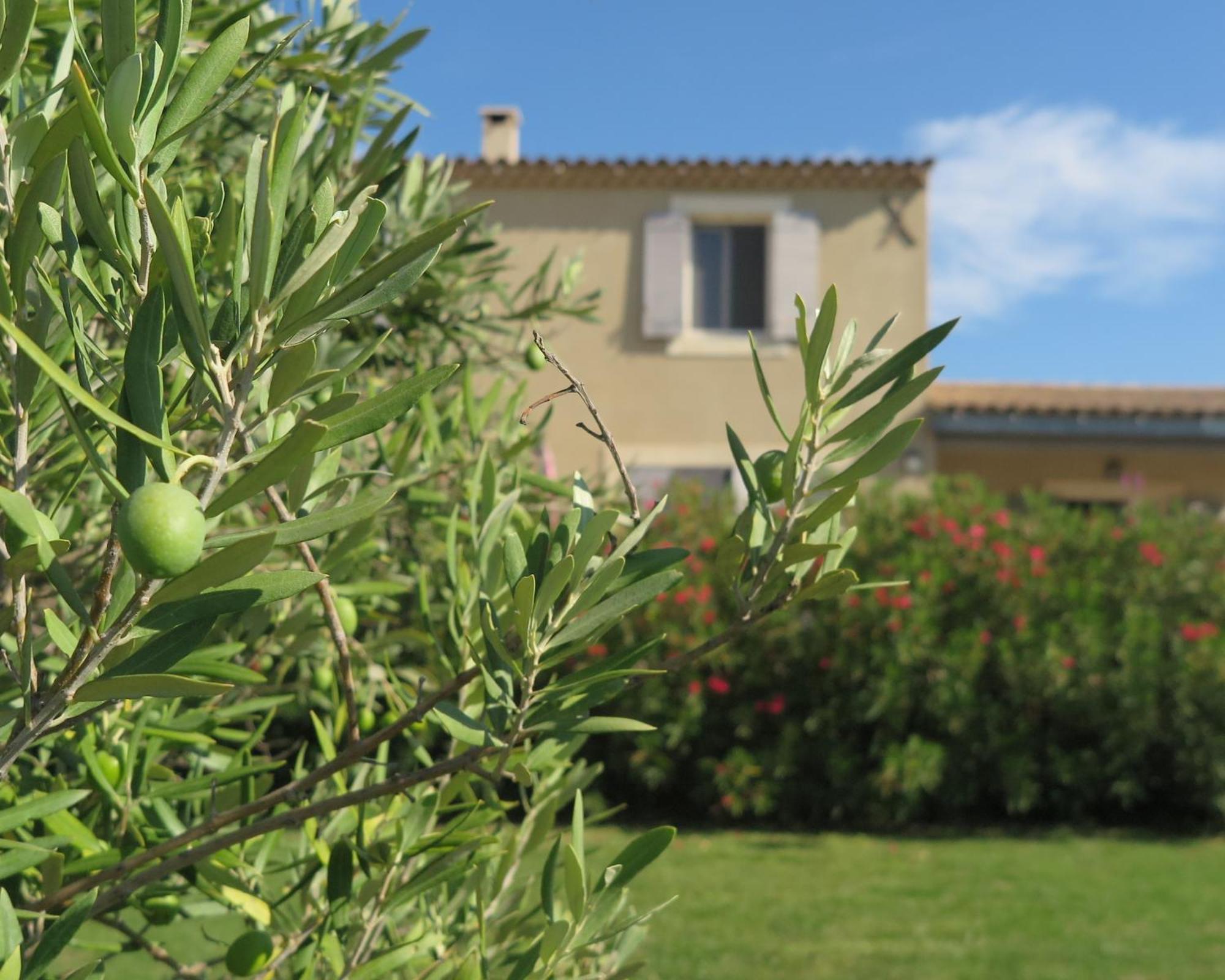 Apartment Le Petit Luberon Coquelicot *
